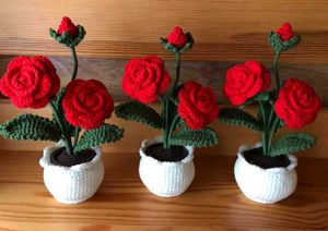 Crochet Rose Flowers Pot