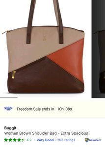 Baggit Brown Shoulder Bag