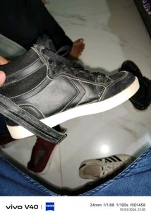 Sparx High Top Sneaker