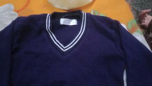 Blue Sweaters - 2 Pack