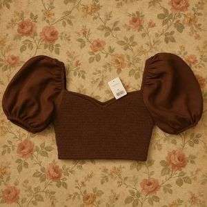 SSS Brown Puff Sleeve Top