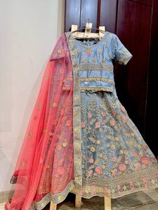 Elegant Powder Blue Lehenga Choli