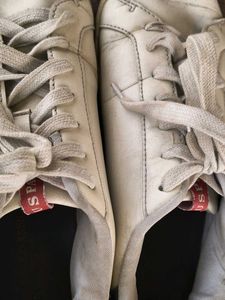 Original US Polo Assn Sneakers Size 10