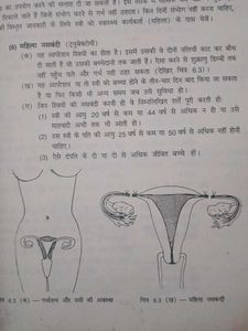 Vintage Book Issued By Goverment