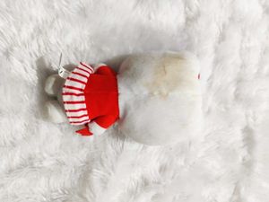 Hello Kitty Imported softtoy Plushies