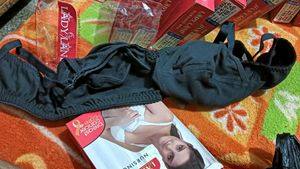 Ladyland Nursing Bra