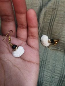 Sea Shell Earrings