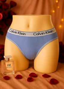 🇳🇿💫🔥 Calvin Klein Blue Briefs