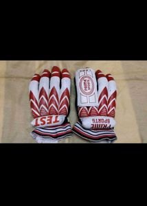 Prime Sports Test Cricket Gloves