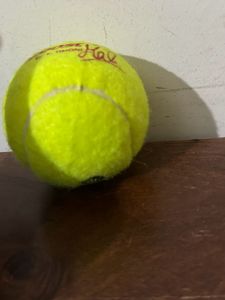 Cricket Ball