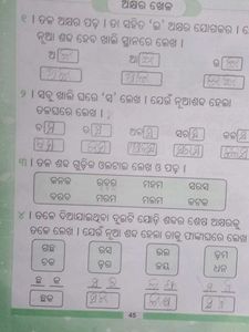 Ama Pilanka Bhasa Sahitya