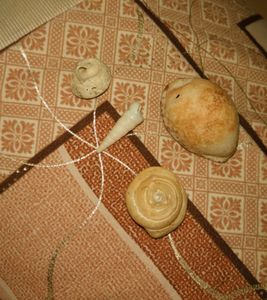 Shells