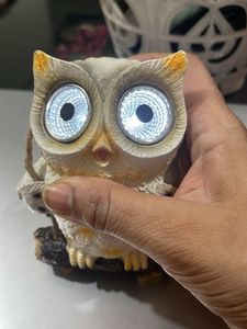 Owl Decor