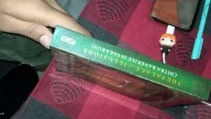 The Palace of Illusions Book