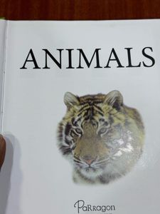 Animals Book
