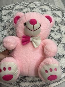 Pink Teddy Bear