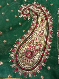 beautiful net saree with blouse