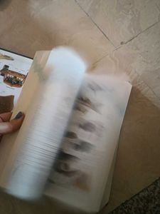 Oxford Illustrated Dictionary