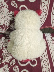 Cute Teddy