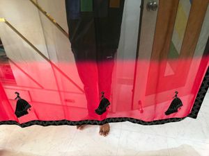 Pink &amp; Black Babydoll patch Saree