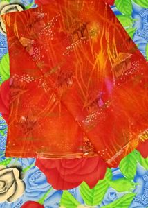 New Saree Design No 6001