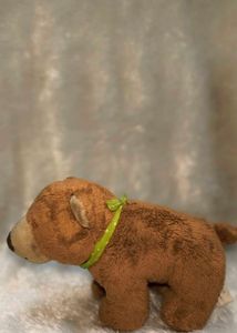 Near Plush Toy