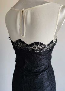 Vintage Lace Party Dress