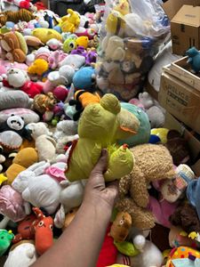 Plush