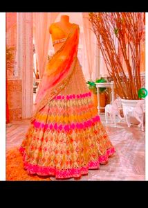 Women Butterfly Lehenga Choli Same As Picture