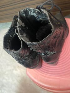 Stylish Black Ankle Boots