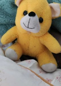 Small Teddy Bear