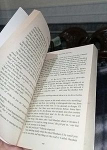 The Second Death  &#34;A Sister Fioelma Mystery &#34;✨