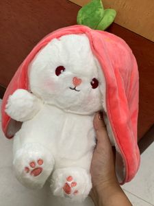 Cute Rabbit Soft Toy
