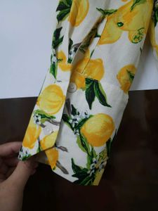 Kassually Women Shirt