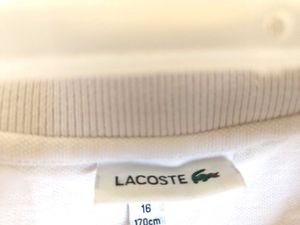 Lacoste Polo Shirt