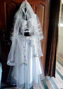 Wedding party Wear Lehenga Choli With Beautiful Du