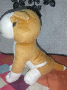 A66 Cute Bulldog Brown And White Colour