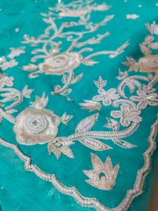 Moti Work Beautiful Design Saree No Blouse