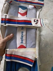 DIWALI CLEARANCE🪔Sg Batting Pads Big Size