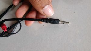 Zebronics Headphones With Mic In Working Condition
