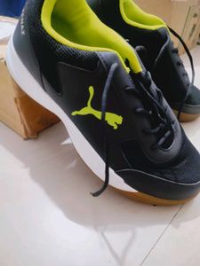 Puma Indoor Sports Shoes