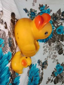 Cute Ducks