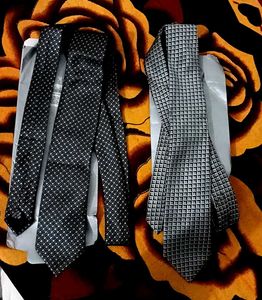 Stylish Ties - Set of 2