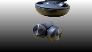 Dizo Earbuds