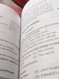ALL IN ONE English For Class 8 CBSE