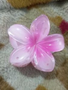 Tropical Flower Hair Clips/Claws - Set of 3