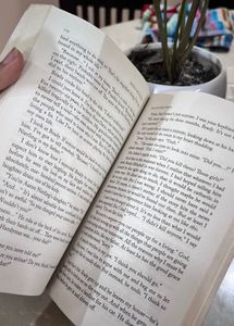 The Locked Door by Freida McFadden