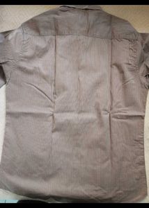 Original Zara Brown Striped Shirt