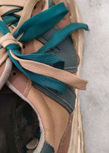 Gucci Shoes And A Pair Of Sports Shoe