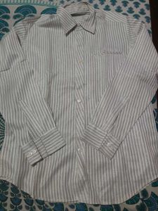 Mens Shirt